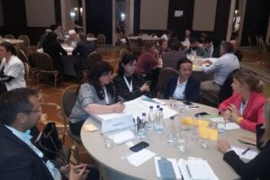 COST CONNECT WORKSHOP – SUSTAINABLE ENERGY IN THE DANUBE REGION