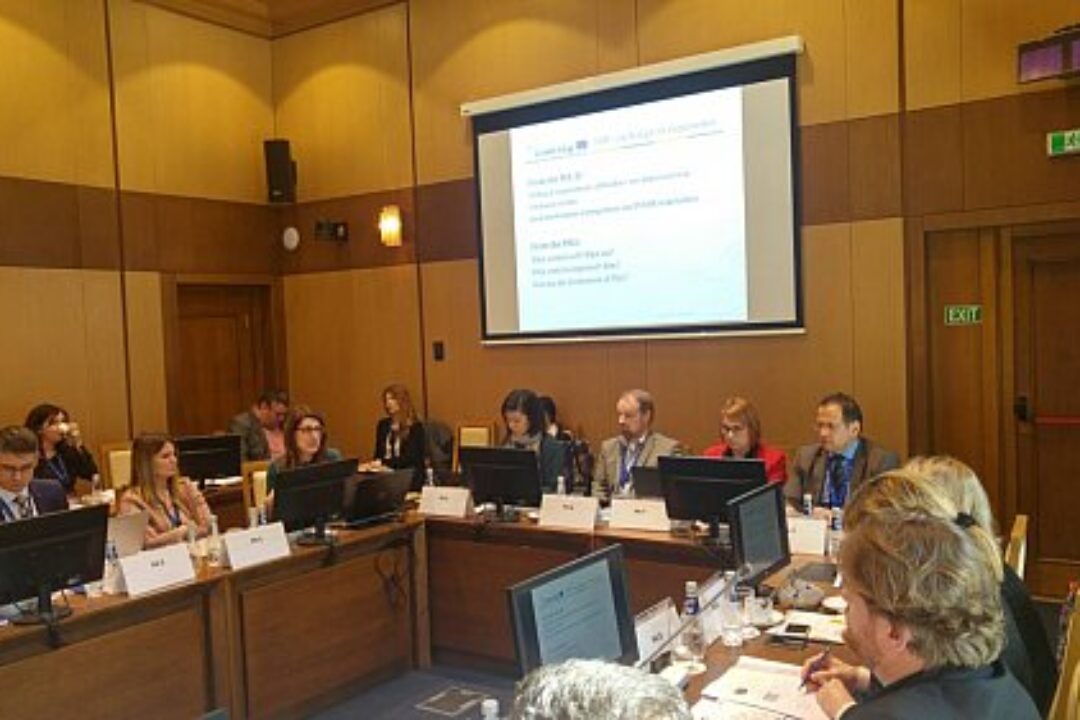 MEETING OF THE EUSDR PACs IN SOFIA, BULGARIA