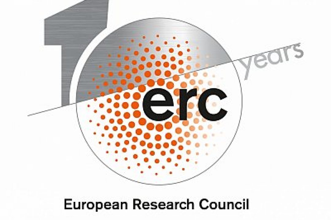 2017 ERC CONSOLIDATOR GRANTS – PRELIMINARY STATISTICS